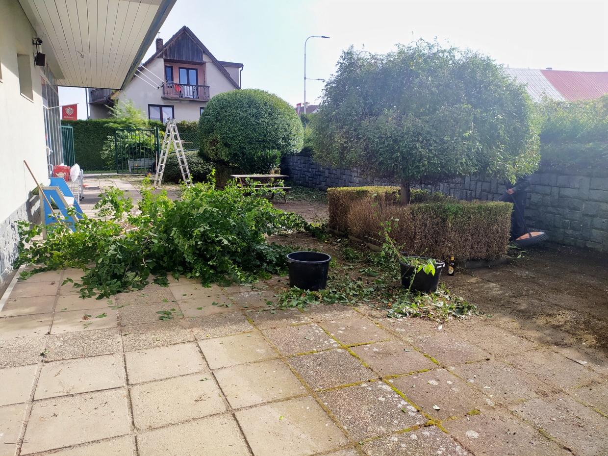 zahrada 8