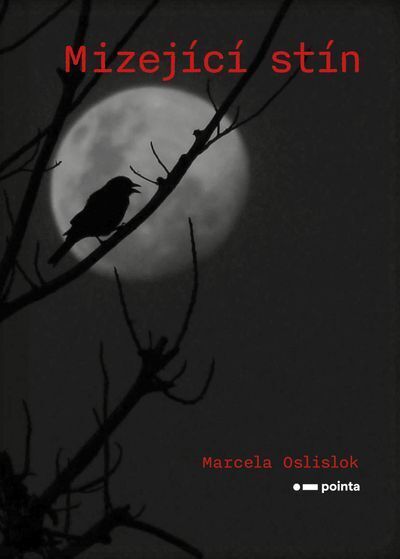 Mizející stín (e-kniha)