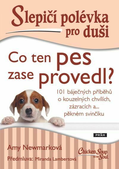 Slepičí polévka pro duši: Co ten pes zase provedl? (e-kniha)