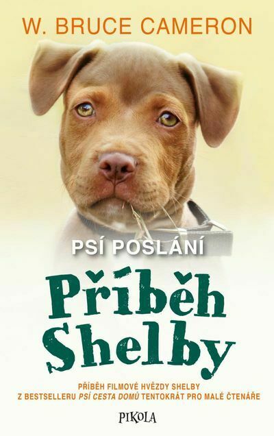 Příběh Shelby (e-kniha)