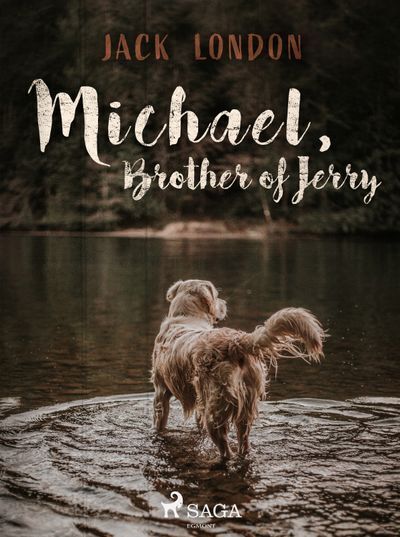 Michael, Brother of Jerry (e-kniha)