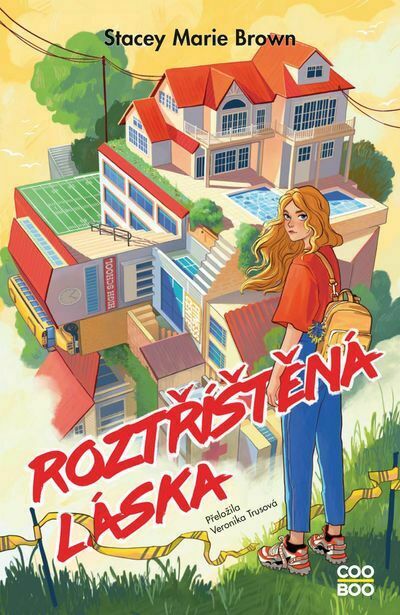 Roztříštěná láska (e-kniha)