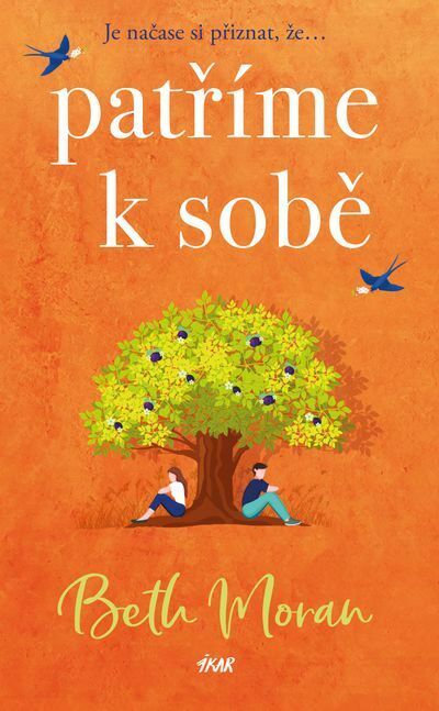 Patříme k sobě (e-kniha)