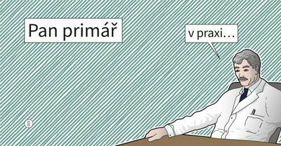 Pan primář v praxi (e-kniha)