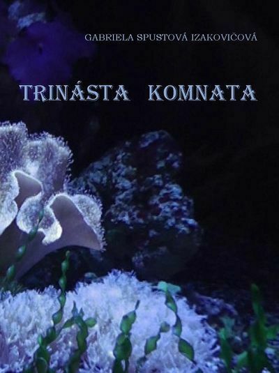 Trinásta komnata (e-kniha)