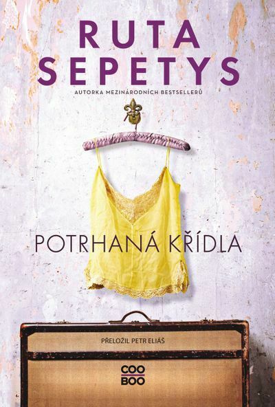 Potrhaná křídla (e-kniha)