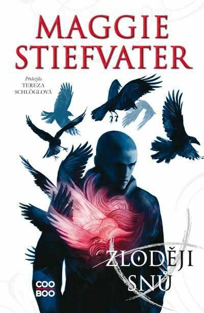 Zloději snů (e-kniha)