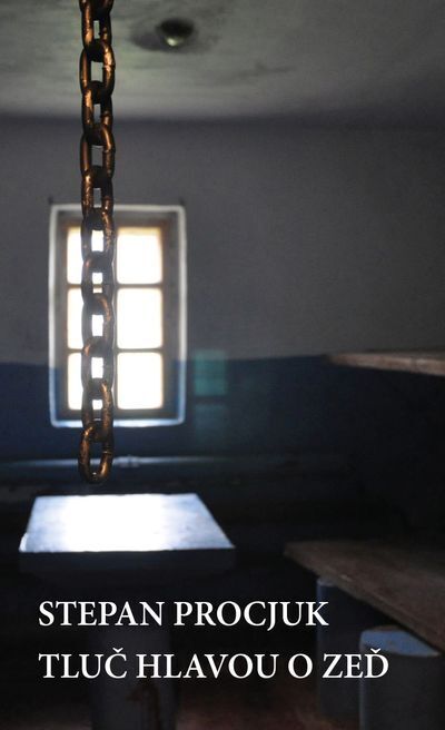 Tluč hlavou o zeď (e-kniha)