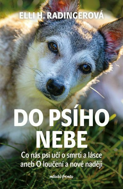 Do psího nebe (e-kniha)