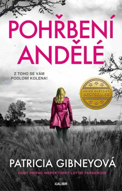 Pohřbení andělé (e-kniha)