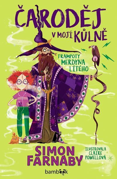 Čaroděj v mojí kůlně (e-kniha)