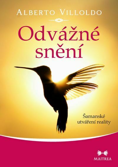 Odvážné snění (e-kniha)