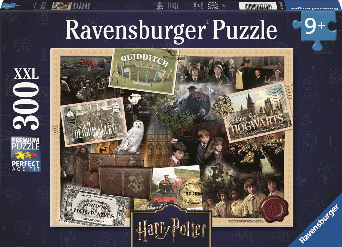 Puzzle Harry Potter: Kouzelný svět 300 dílků