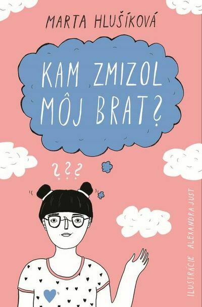 Kam zmizol môj brat? (e-kniha)