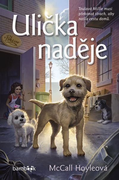 Ulička naděje (e-kniha)