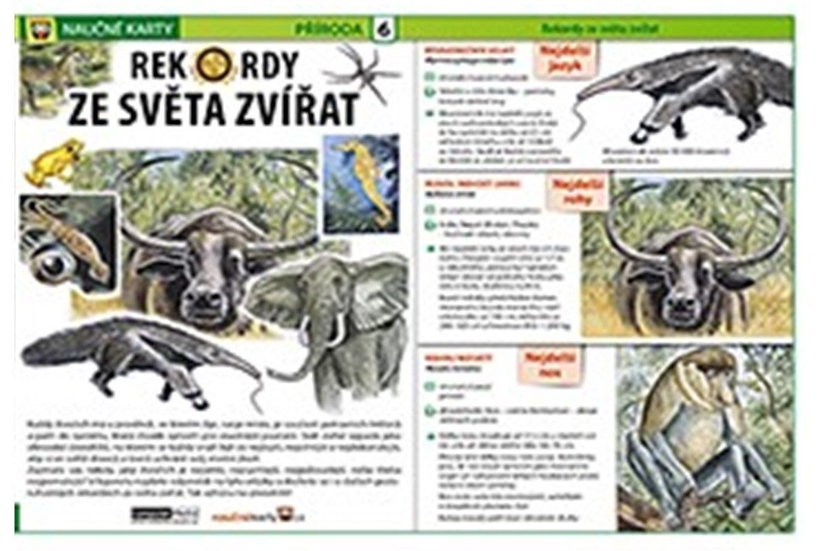 Rekordy ze světa zvířat - Naučné karty