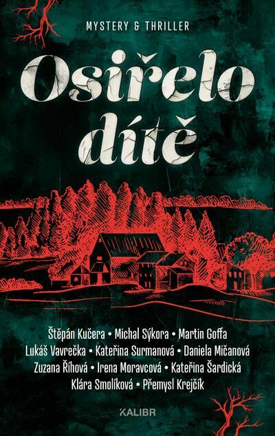 Osiřelo dítě (e-kniha)