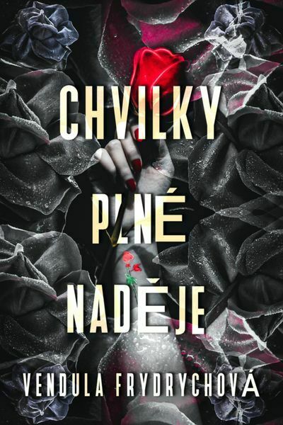 Chvilky plné naděje (e-kniha)