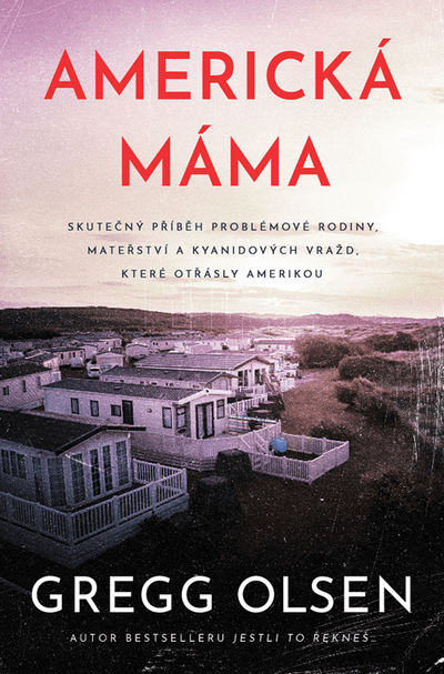 Americká máma (e-kniha)