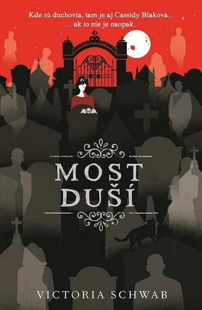 Most duší (e-kniha)