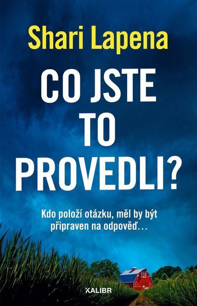 Co jste to provedli? (e-kniha)