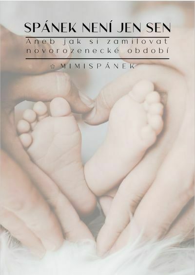 Spánek není jen sen (e-kniha)