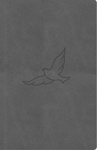 Bible21 kapesní Pepper