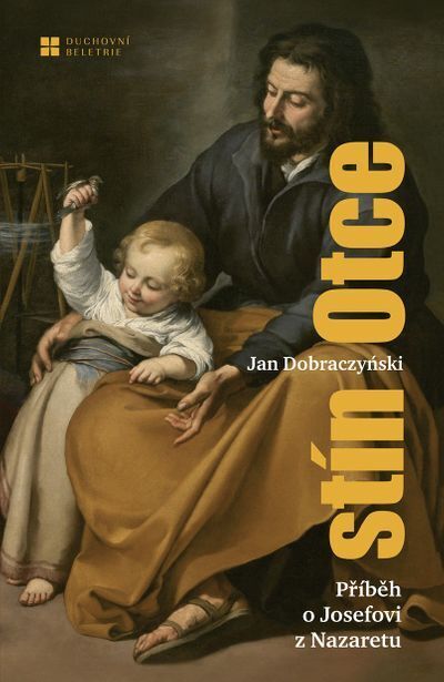 Stín otce (e-kniha)