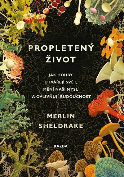 Propletený život (e-kniha)