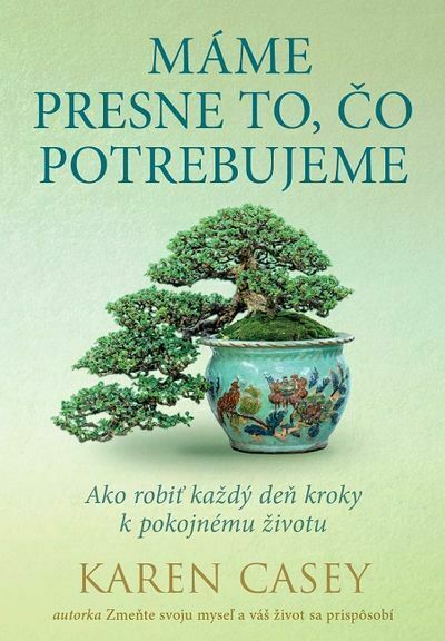 Máme presne to, čo potrebujeme (e-kniha)