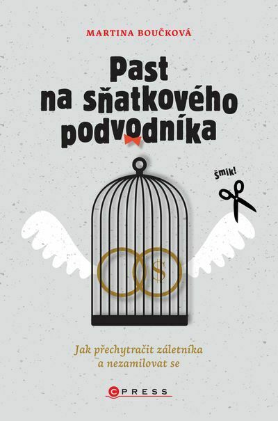 Past na sňatkového podvodníka (e-kniha)