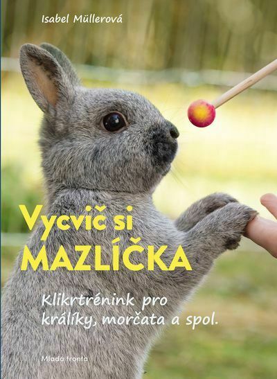 Vycvič si mazlíčka! (e-kniha)
