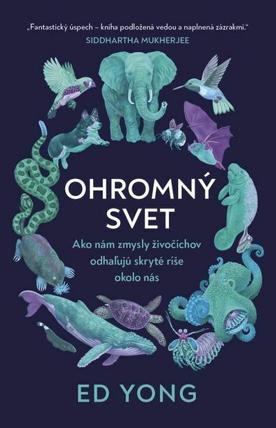 Ohromný svet (e-kniha)