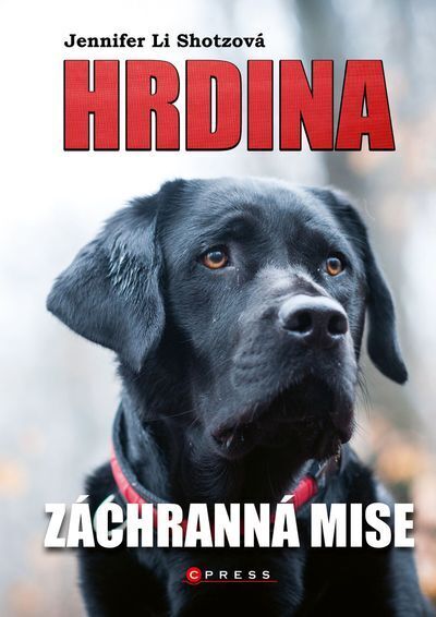 Hrdina: Záchranná mise (e-kniha)