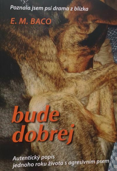 Bude dobrej (e-kniha)