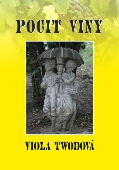 Pocit viny (e-kniha)