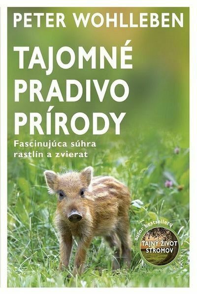 Tajomné pradivo prírody (e-kniha)