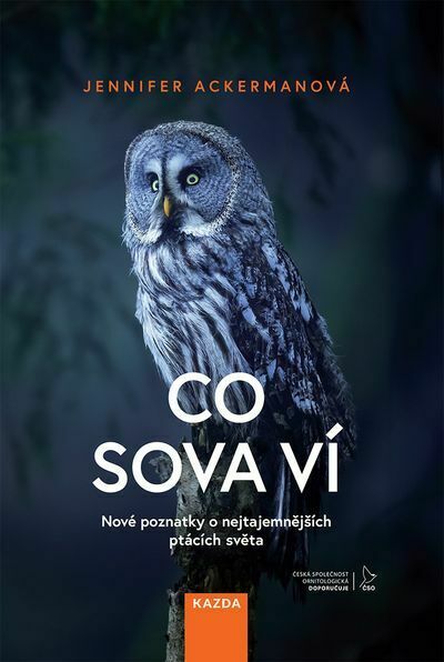 Co sova ví (e-kniha)