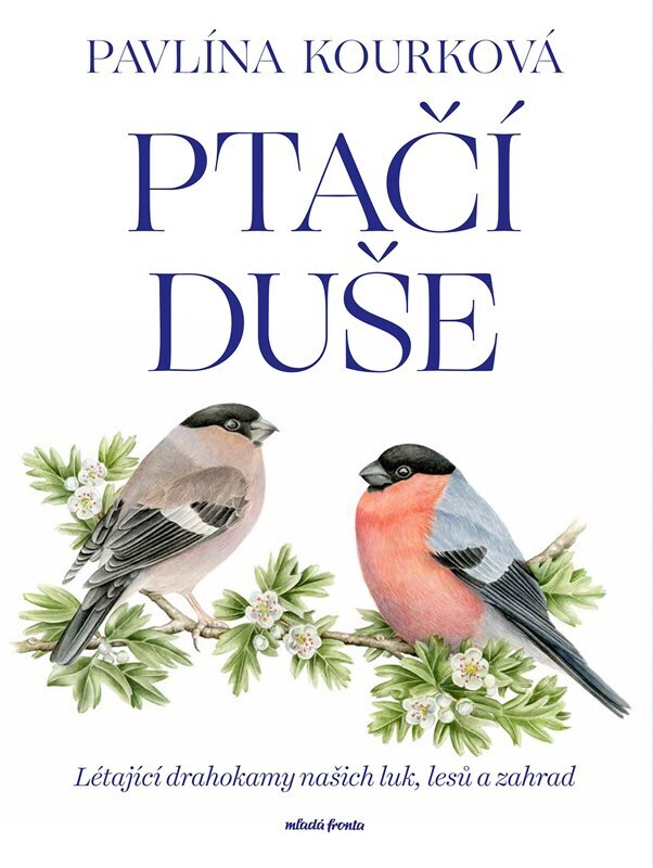 Ptačí duše - Létající drahokamy našich luk, zahrad a lesů