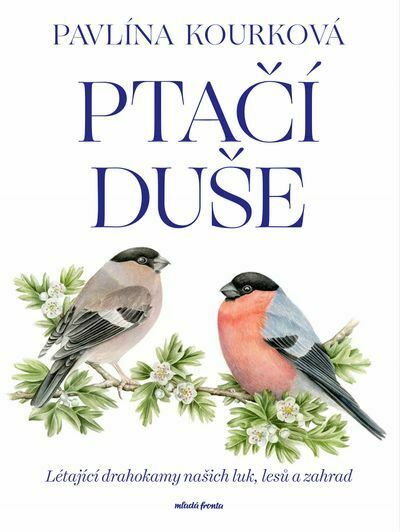 Ptačí duše (e-kniha)