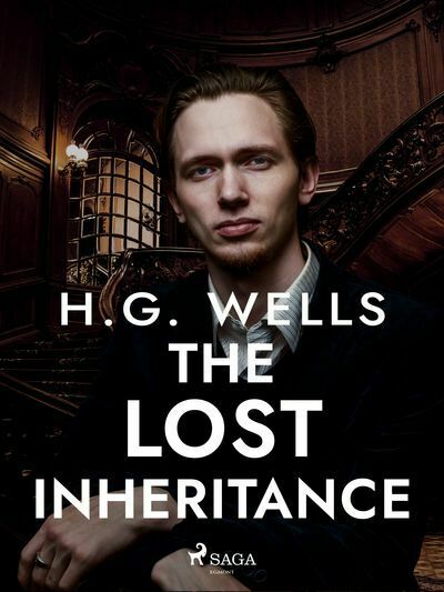 The Lost Inheritance (e-kniha)