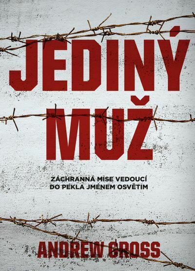 Jediný muž (e-kniha)