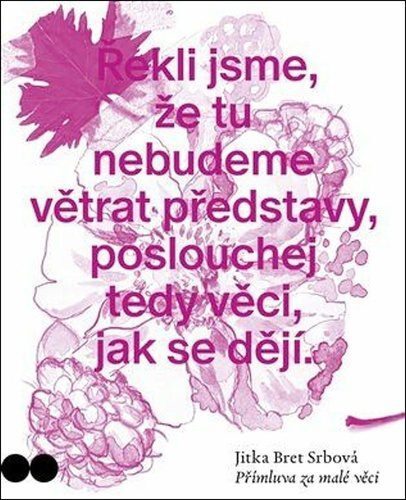 Přímluva za malé věci