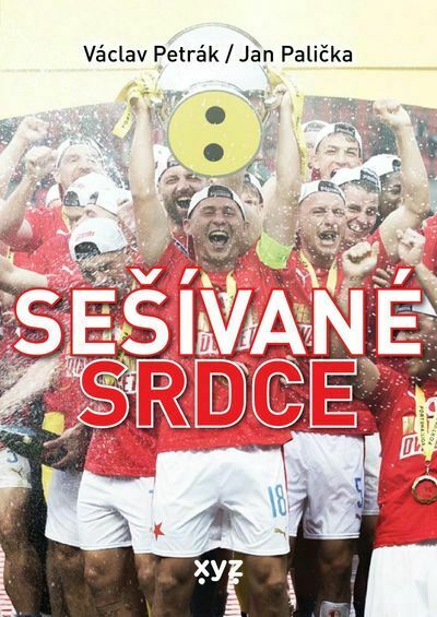 Sešívané srdce (e-kniha)