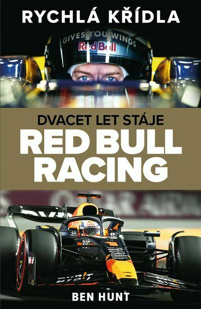 Rychlá křídla (e-kniha)