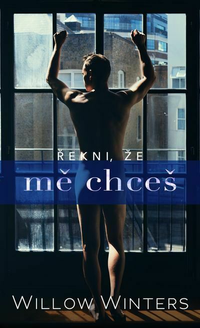 Řekni, že mě chceš (e-kniha)