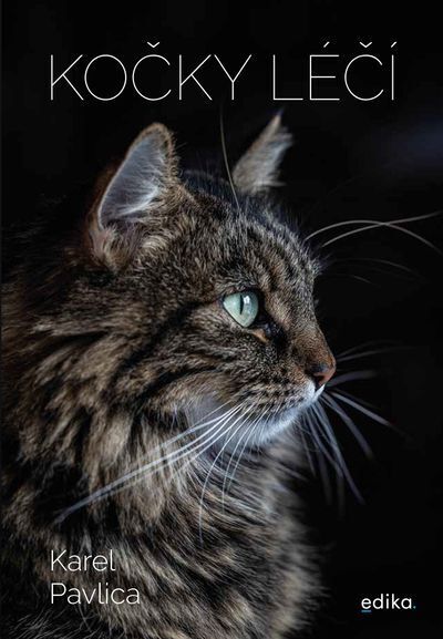 Kočky léčí (e-kniha)