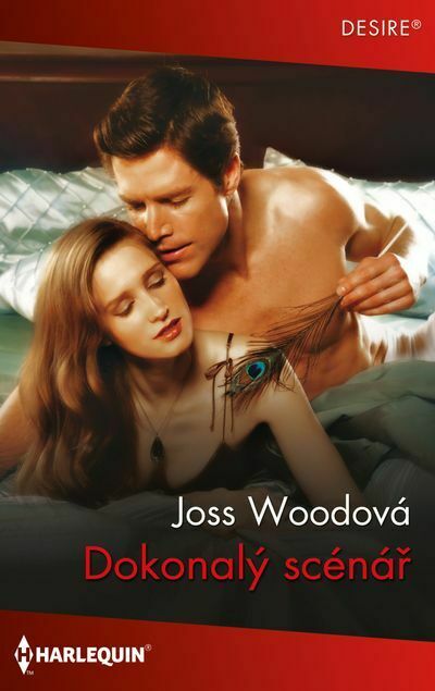Dokonalý scénář (e-kniha)
