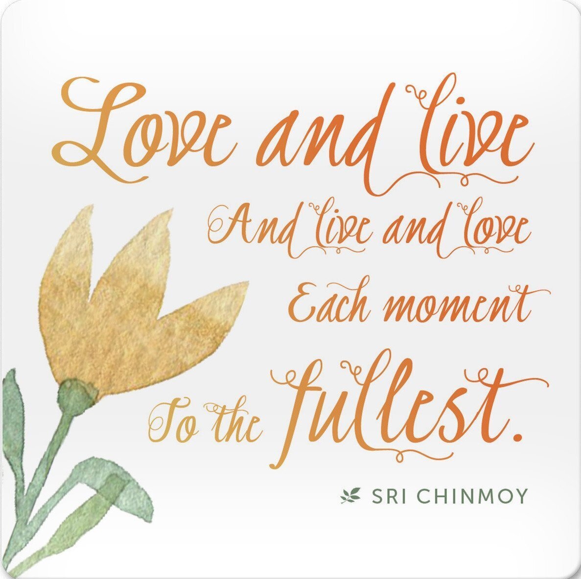 Korkový podtácek s citátem Love and live and Live and Love Each moment To the Fullest