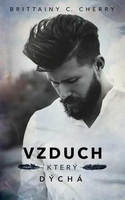 Vzduch, který dýchá (e-kniha)